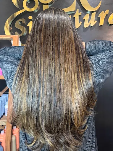 Brunette hair with blended highlights and salon finish